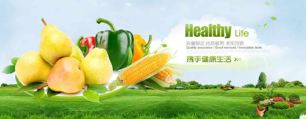 郑州德森环境科技有限公司(zhanjingxuan.cn)